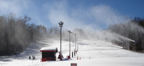 CabinPhoto4
